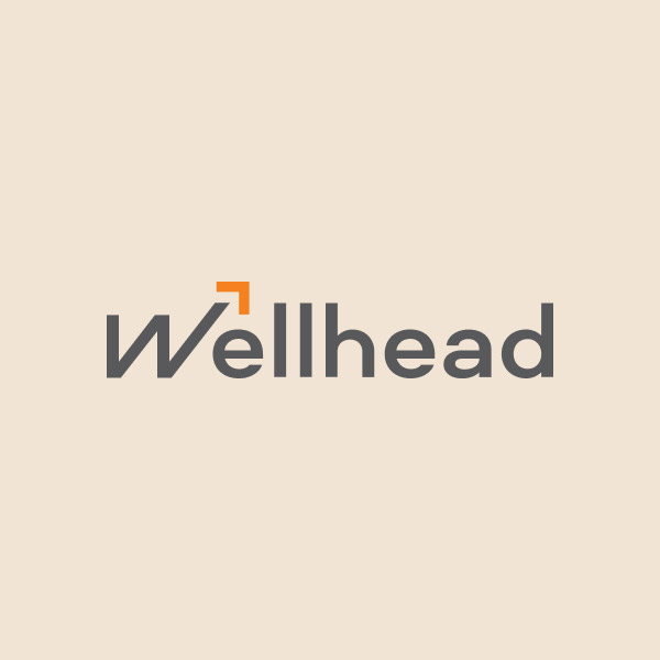 Wellhead: Создание бренда «Costa Cocosta»