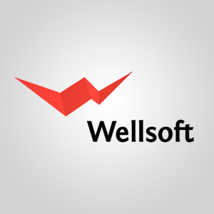 Wellsoft