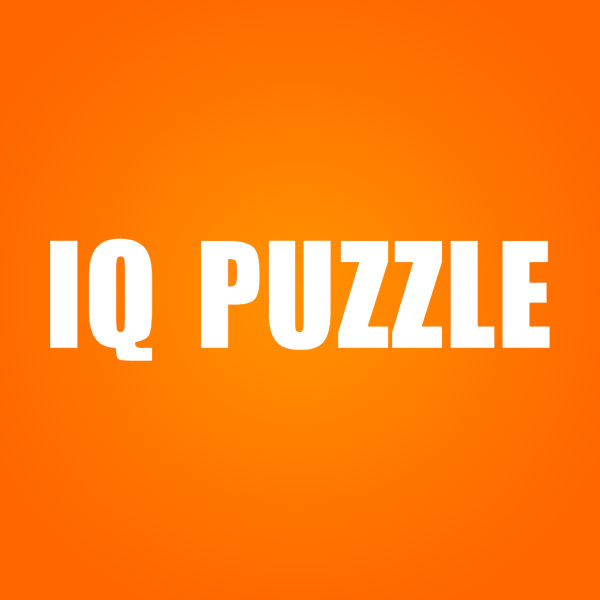 IQ Puzzle