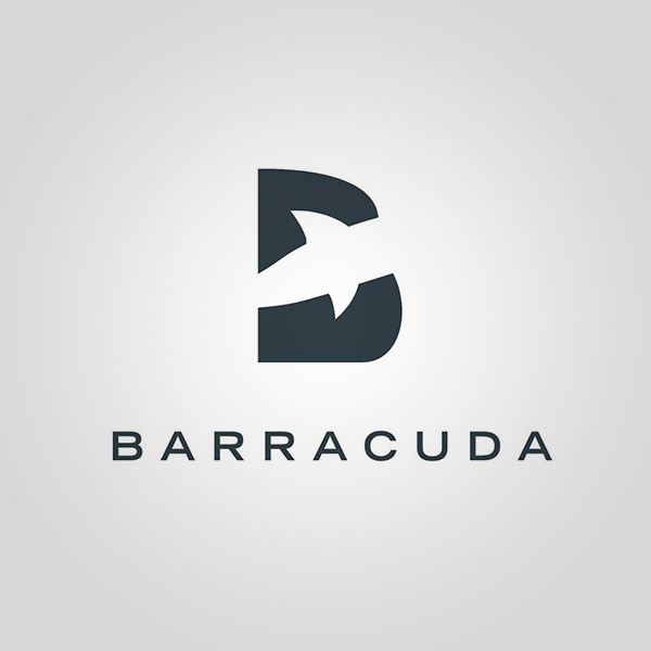 Barracuda