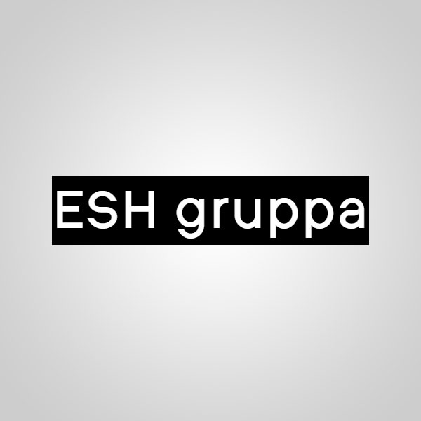 ESH Gruppa