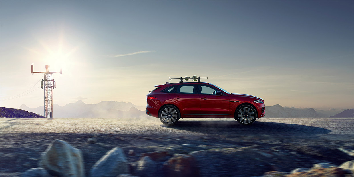 Palmer, ������