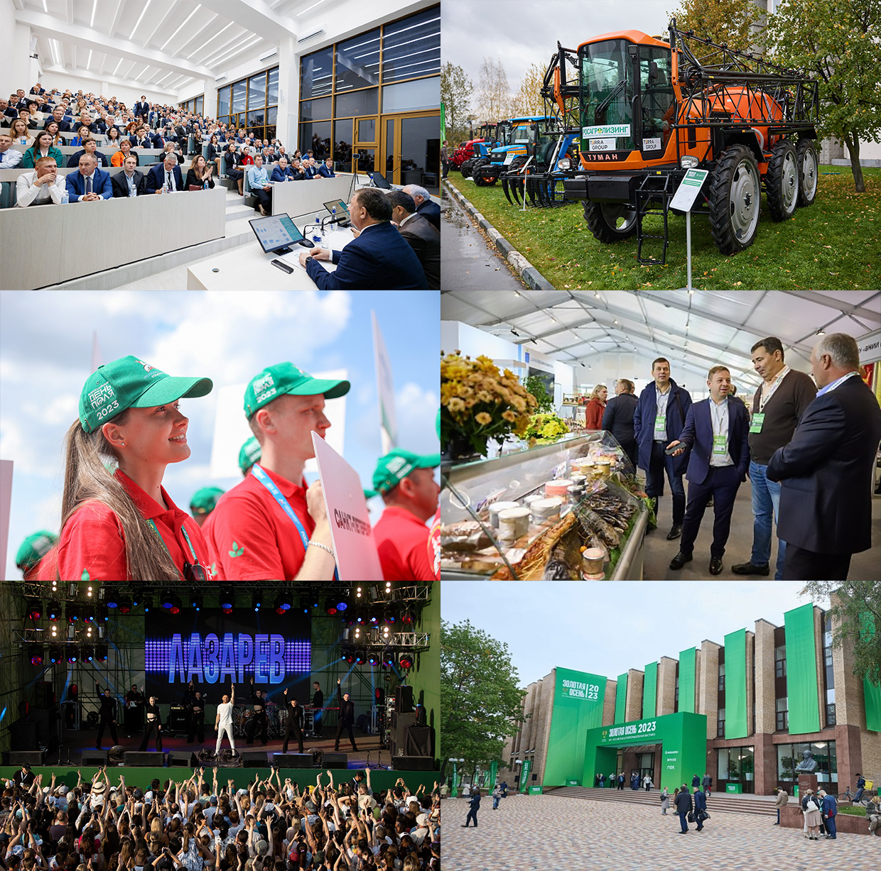 �����, ������