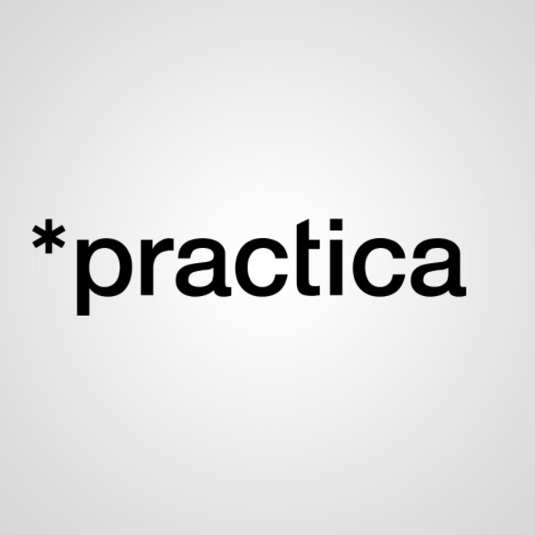 Подробная информация о компании Practica