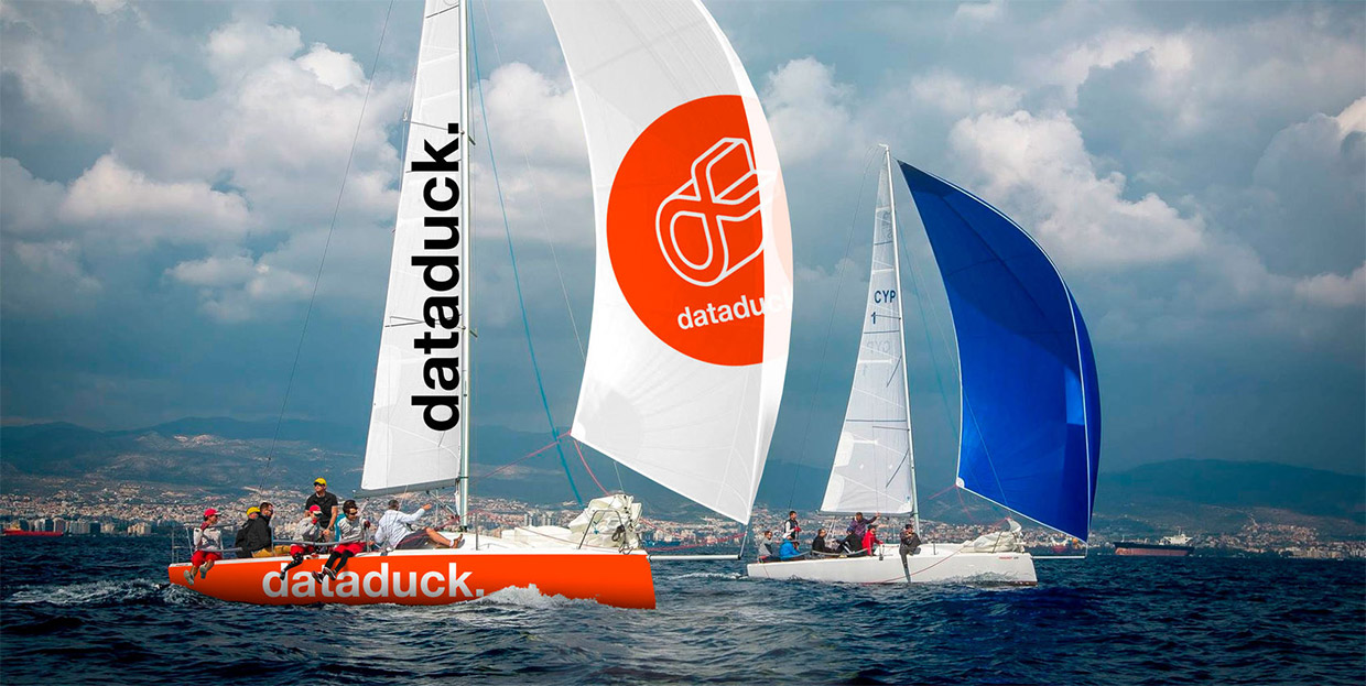 Dataduck, �����-���������