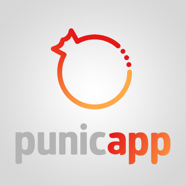 Подробная информация о компании PunicApp