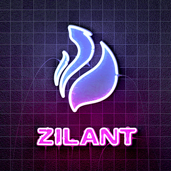 Подробная информация о компании Zilant.Pro