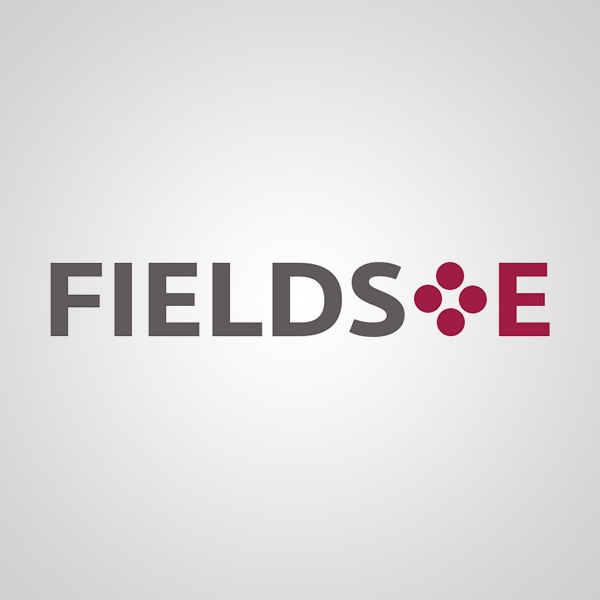 ��������� ���������� � �������� Fields 4E