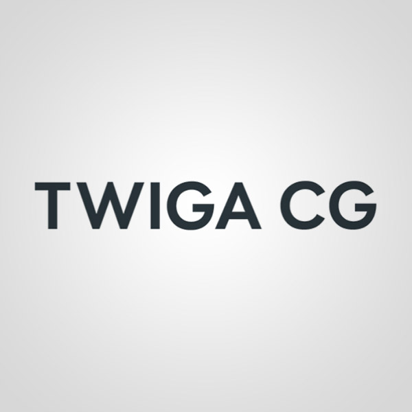 Подробная информация о компании TWIGA