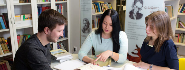 ����������� ��� ���������� �������� ����������, ������