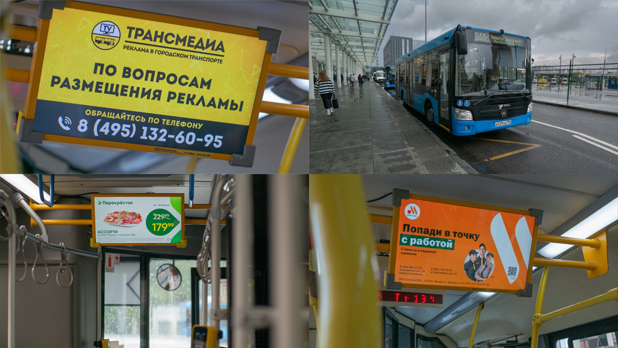 ����������, ������