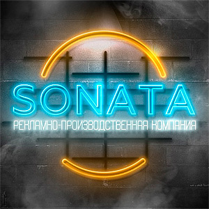 Подробная информация о компании Sonata