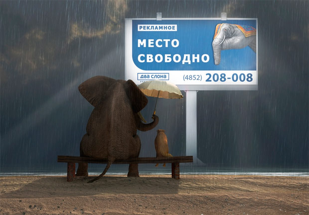 ��� �����, ���������