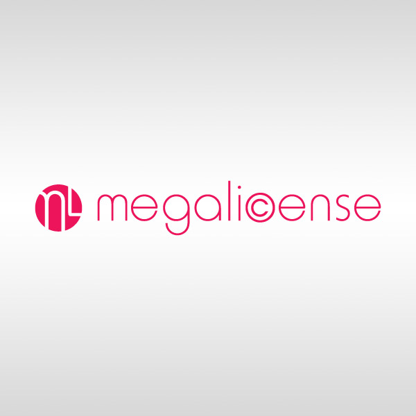 Подробная информация о компании Megalicense