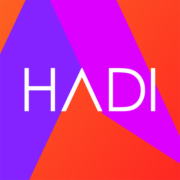 Подробная информация о компании HADI