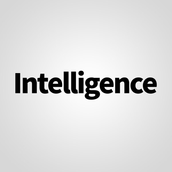 Подробная информация о компании Intelligence