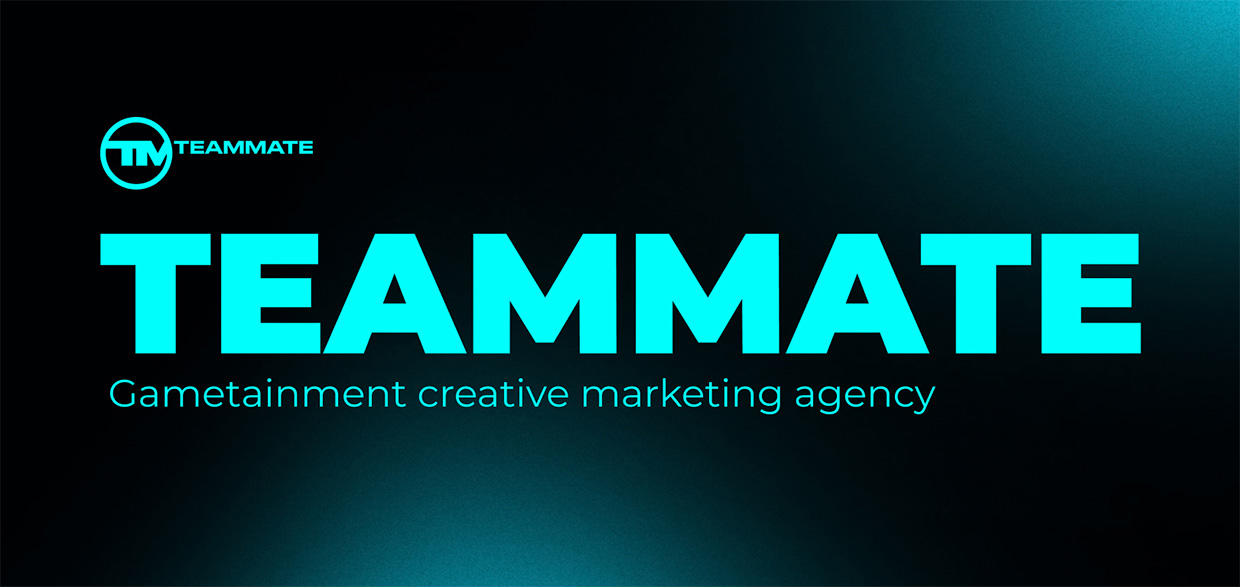 TEAMMATE, ������