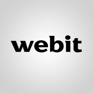 Подробная информация о компании Webit
