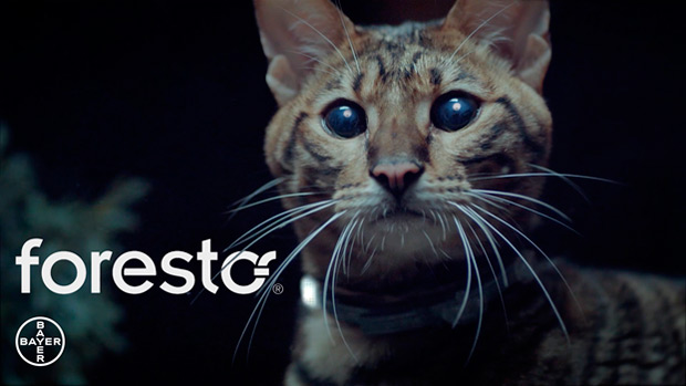 White Wolf Production