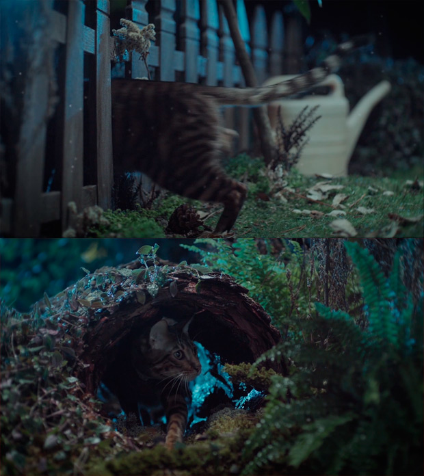 ������������ ������������