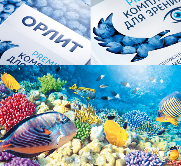 ��������, ������������ � ��������