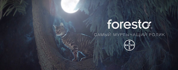 VILKA - ������������ ������������