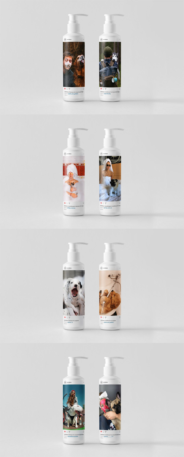 ��������, ������������ � ��������